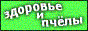 http://www.medovik.narod.ru